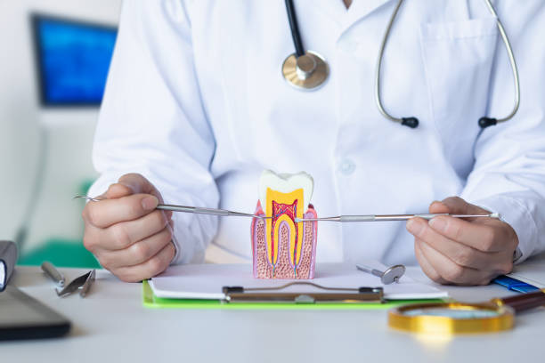 Best Broken Tooth Emergency  in Albany, GA